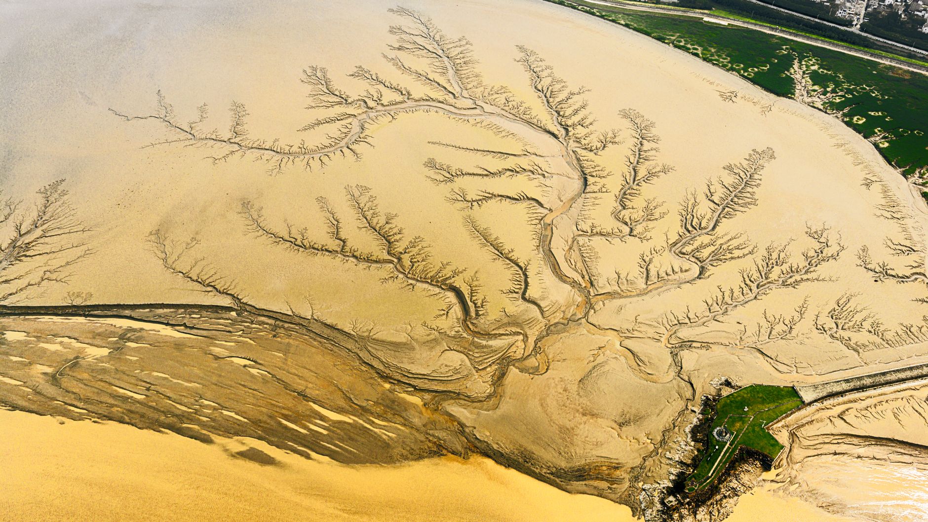 Aerial view over the Danube delta branches, islands and channels drawing the delta
